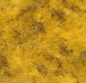 EXOTICA_06